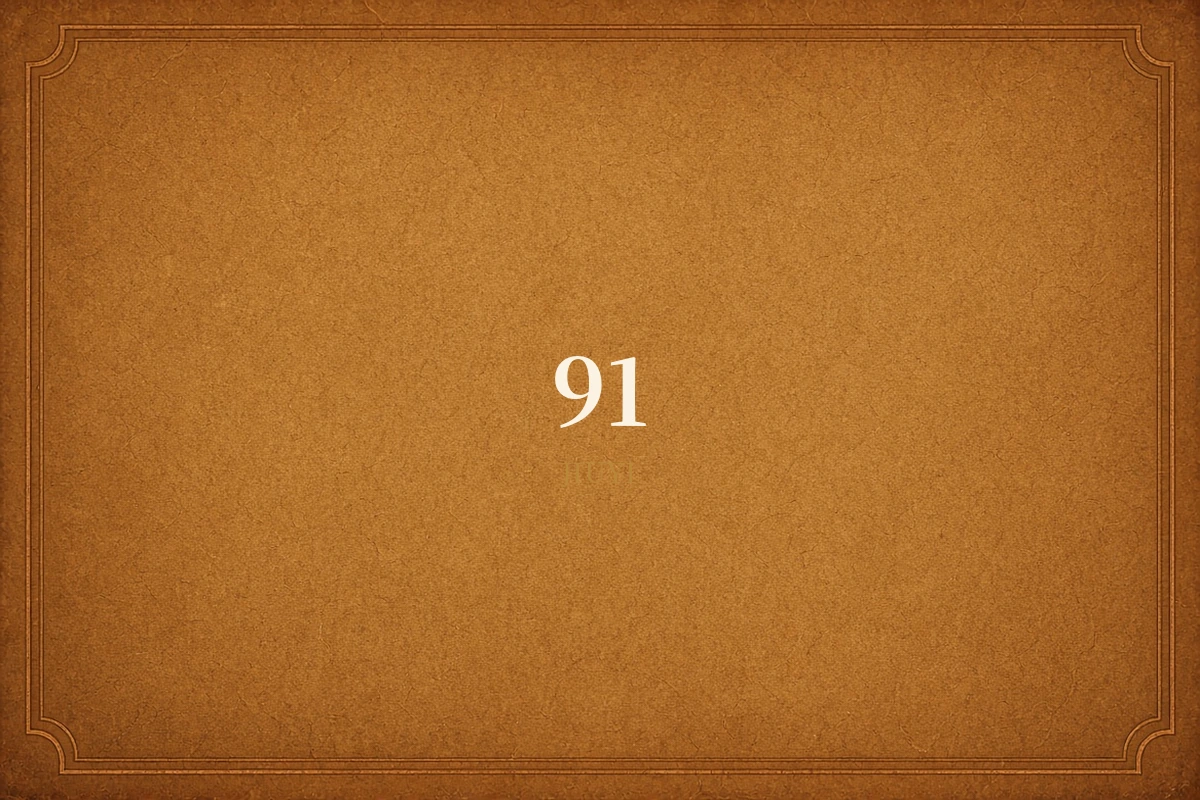 91 品牌影像